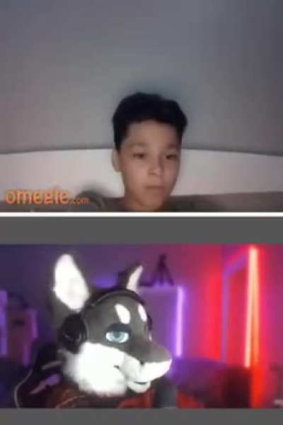 Furry_irl