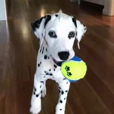 You can't hide this playful mood in your eyes and gestures...