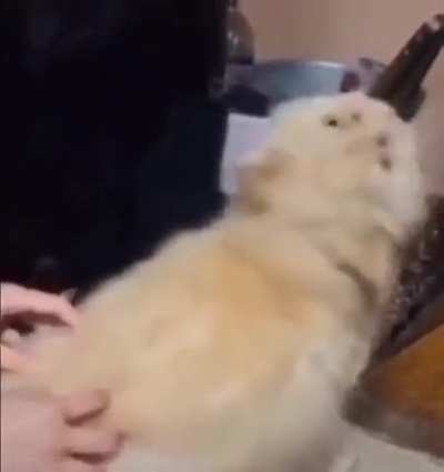 hmm