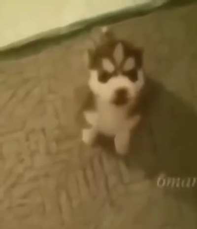 &amp;gt;:(