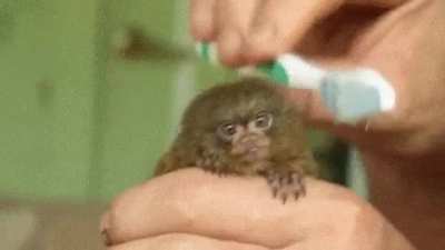 So adorable I can't come up with a accurate title for this