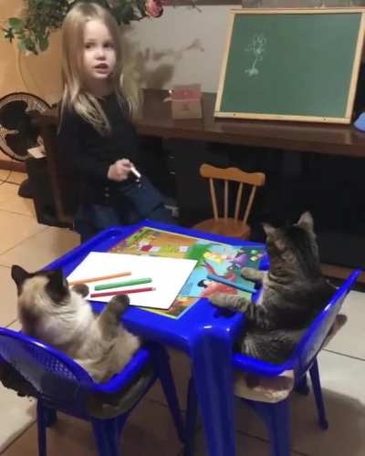 Garotinha desenhando gatos a desenhar flores
