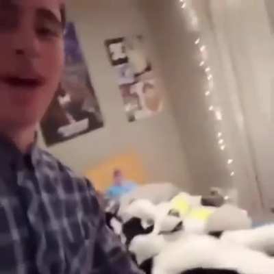 plush_irl