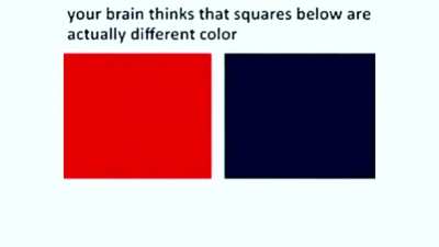OMG how !!!!!