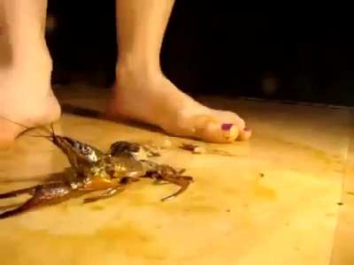 Lucky lobster...