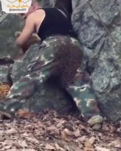 Cursed_nest