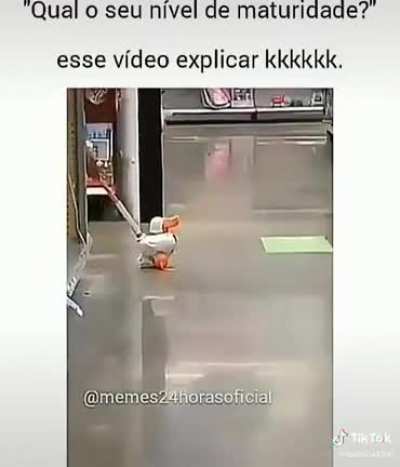 Patoooooo
