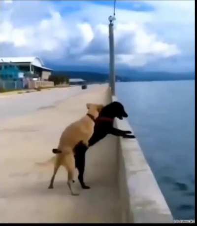 Krizi fırsata &ccedil;evirmek