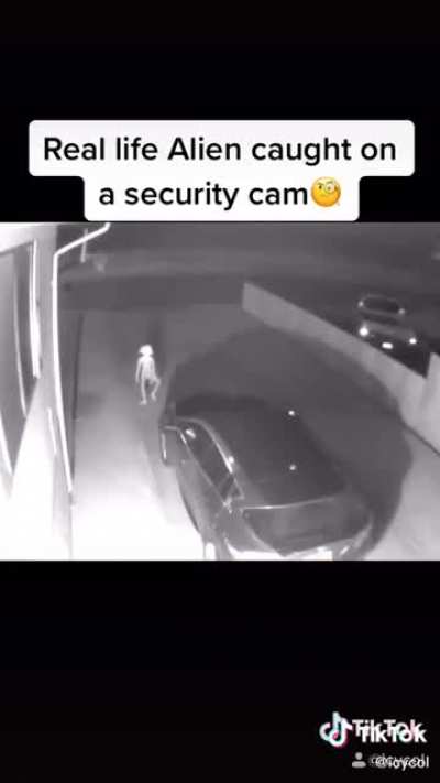 These are obviously fake and this guy's on my front page a lot. Anyone know where he's getting the videos from? (Comments never suggest that it's fake)