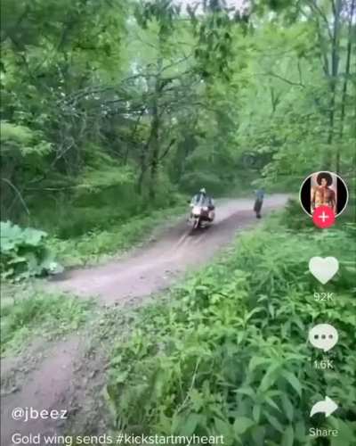 Hold my beer while I prove that a Goldwing is an all purpose motorcycle!