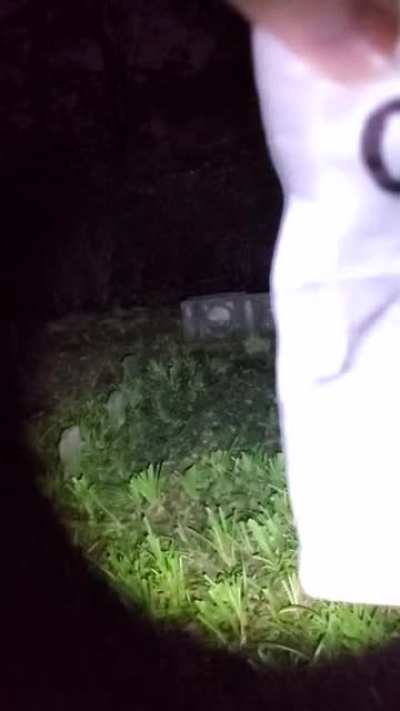 I don't believe in ghosts, but I'm pretty sure I just caught one on camera.