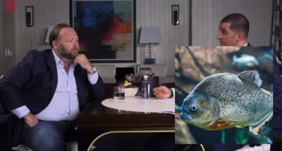 Unserious freshwater aquarium fish ranking (I hold no animosity towards these fish)
