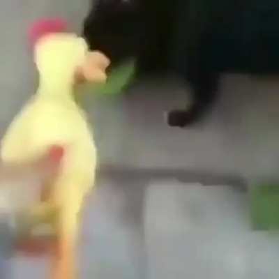 Perro mamon