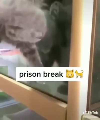 Thought of y&rsquo;all when I saw this