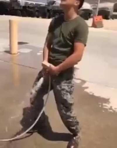 Yut