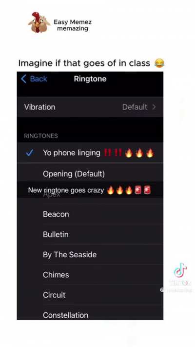 Terroriser&rsquo;s Ring tone when Vanoss Calls