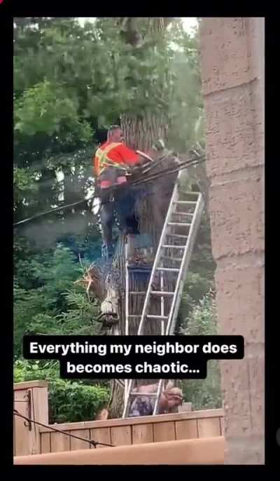 Having your wife hand you a screwdriver while you&rsquo;re on a ladder cutting a large tree limb with a chainsaw 