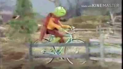 Kermit dies in a tragic accident