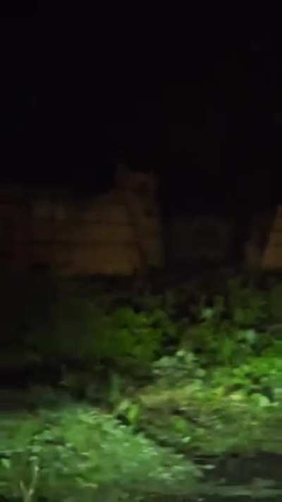 A leopard was seen outside TCS main gate at around 8.45pm today. (Mihan)