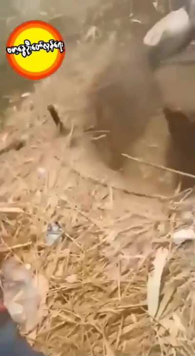 AA (Arakan Army/Arakha Army) Attempting to Shoot down a Myanmar Air Force jet as it bombs their position (2022)