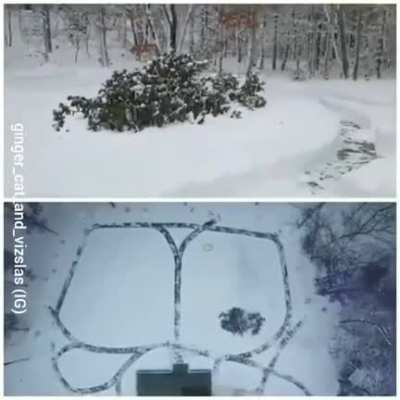 Семья выкопала гоночный трек для собак в снегу на заднем дворе