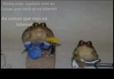 Sapo
