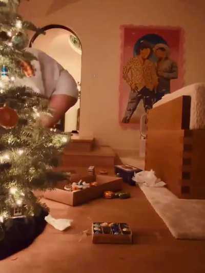 &lsquo;Our first Christmas as a married couple&rsquo; - IG December 2025