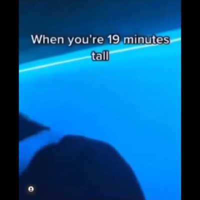 Sad noises **.
