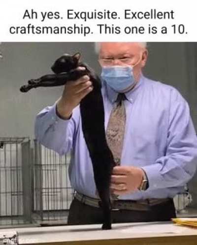 ✅