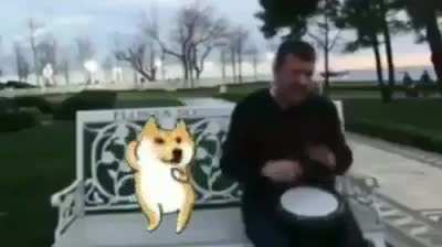 Doge Polkka