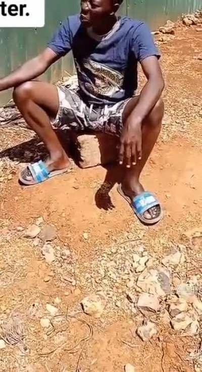 ZULUL Madmonq dealer