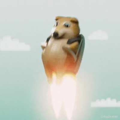 Dogecoin 1 XY
