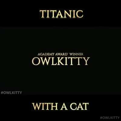 The editing skills are just.. Wow! (source Owlkitty)