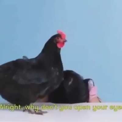 what a suprise