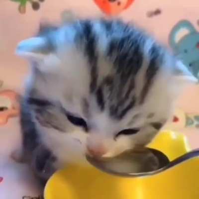 Aaaaw that's so adorable