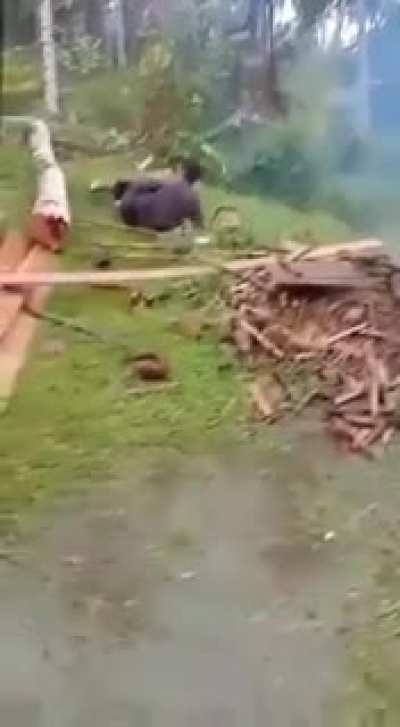 Not today