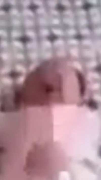 Batata