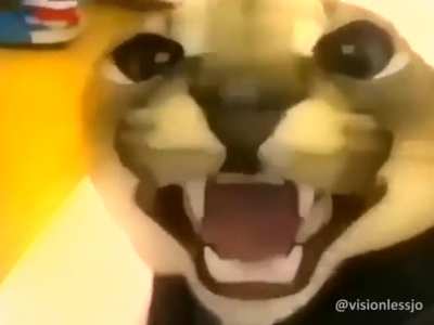 Floooooopa