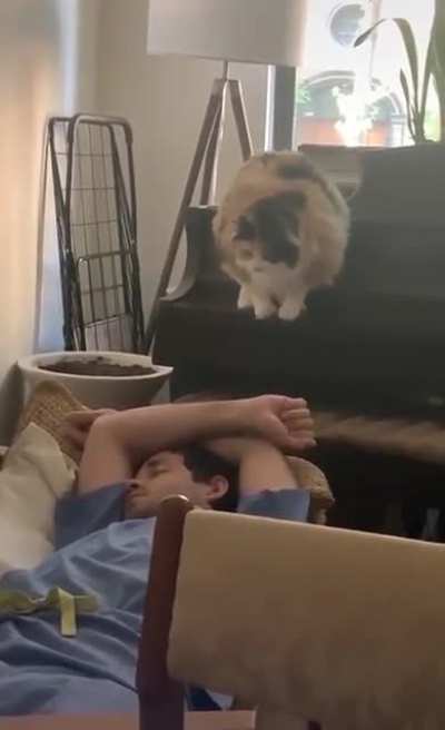 Oh what happened? Anyway now that you&rsquo;re up, can you feed me?
