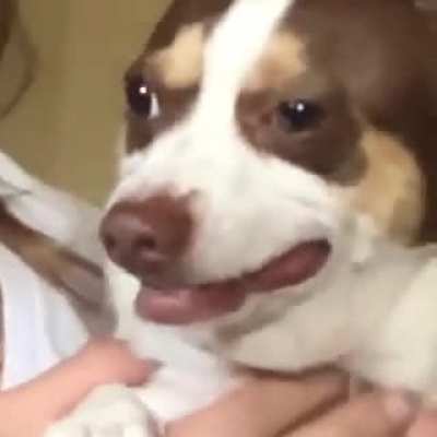 "I love you Mr Bubz....do you love me too?"