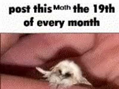 rule