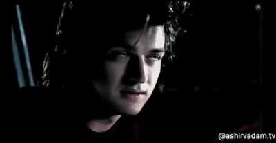 To love is to lose. Steve Harrington Supremacy