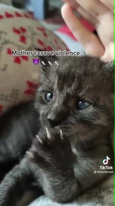 Murder mitten maintenance