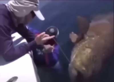 Nice catch