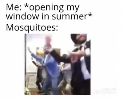 Me🦟irl