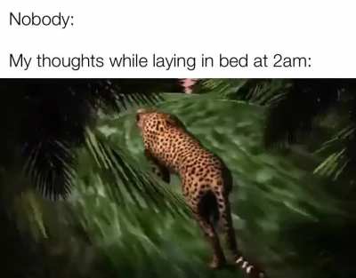 me_irl