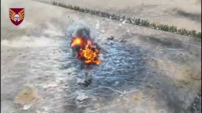 Russian Turtle Tank gets annihilated