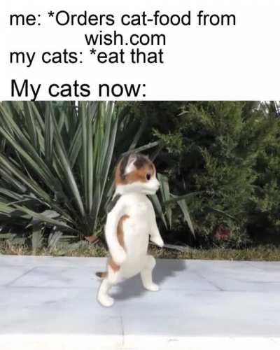 That's not cat-food I guess
