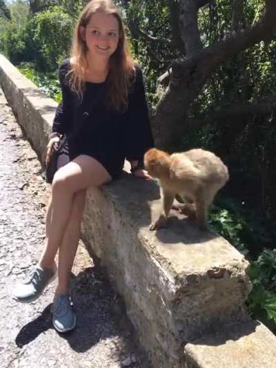 Big hello from the &ldquo;dumb ass bitch&rdquo; who got attacked by a monkey in Gibraltar! (No need to be a doucher, I know if fucked up lol. I was 19)
