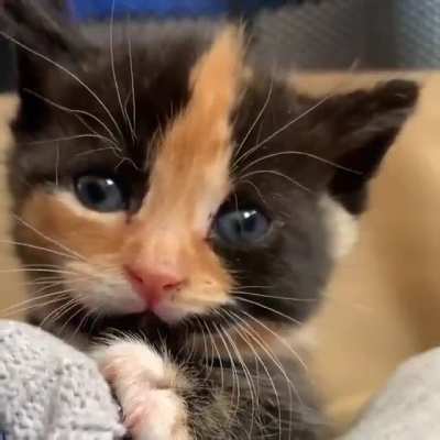 sooo cute!